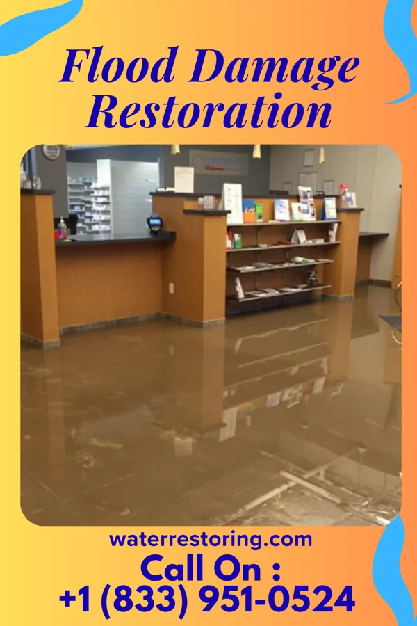 Flood Damage Restoration in Wauwatosa, WI