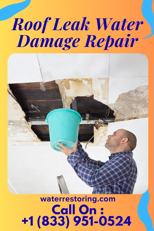 Roof Leak Water Damage Repair in Wauwatosa, WI