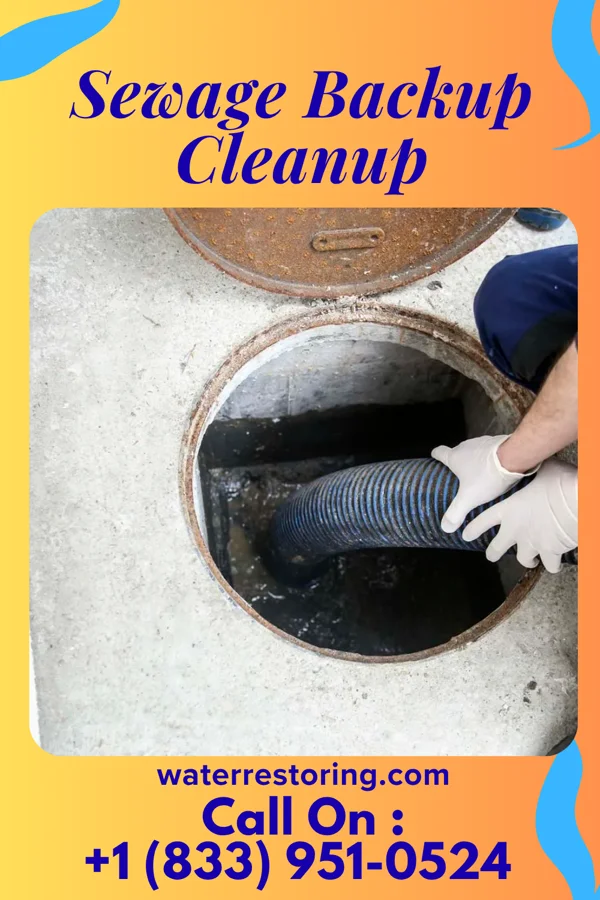 Sewage Backup Cleanup in Wauwatosa, WI