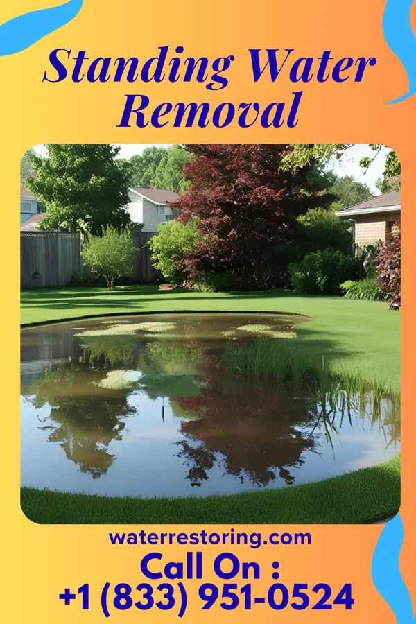 Standing Water Removal in Wauwatosa, WI